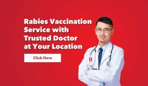rabies vaccination service, rabies vaccine, vaccination, human rabies immunoglobulin, doctor service, doctor visit, trusted doctor, medi-call, medicall
