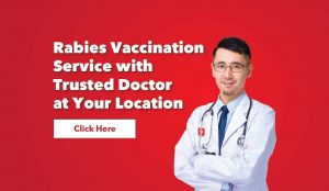 rabiesrokotuspalvelu, rabiesrokote, rokotus, human rabies immunoglobuliini, Lääkäripalvelu, lääkärikäynti, trusted doctor, medi-call, medicall