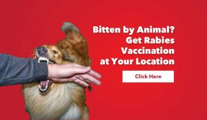 how likely is it to get rabies from a dog bite