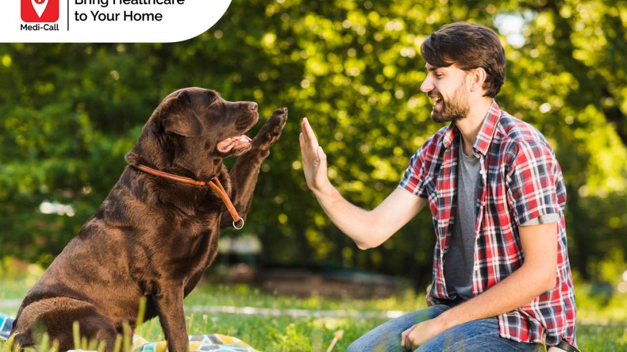 how often do dogs get rabies shots