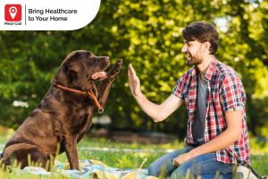 how long does rabies vaccine work in humans, rabies vaccine, rabies vaccination service, medi-call, medicall