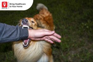 first aid for animal bites, medi-call, medicall, rabies vaccine, vaccination