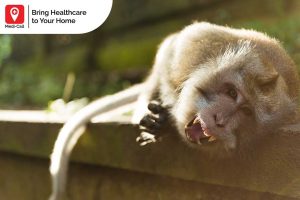 signs of rabies in wild animals, rabies vaccine, rabies vaccination service, medi-call, medicall