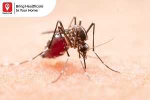 dengue fever bali symptoms, doctor visit, 24 hour doctor service, medi-call, medicall