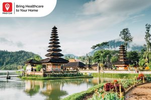 what diseases are in bali, 24 hour doctor service, doctor visit, vaccine, rabies vaccination service, medi-call, medicall