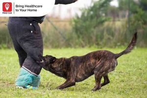 First aid when dog bites you, Medicall, Medi-Call