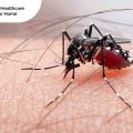 treatment of malaria in children, Medicall, Medi-Call