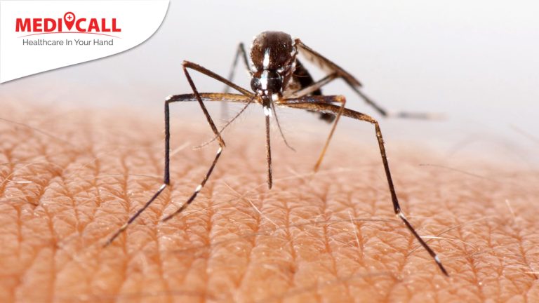 gigitan serangga, digigit serangga, cara mengatasi digigit serangga, penyebab bentol. kulit gatal, kulit gatal digigit serangga