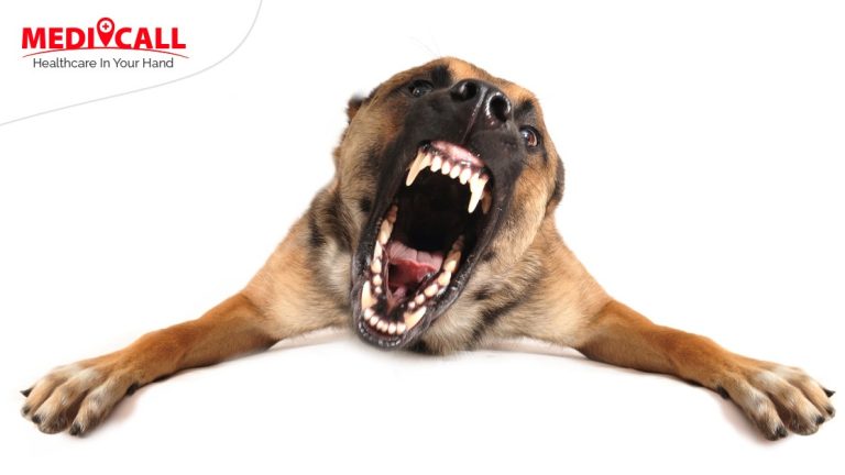 penyakit rabies, rabies, virus rabies, anjing rabies, kucing rabies, hewan rabies, ciri-ciri hewan terkena rabies, hewan rabies