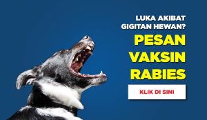 luka gigitan hewan, vaksin rabies, vaksin VAR, VAR, SAR, vaksin SAR, luka rabies, rabies, virus rabies, vaksin di rumah, vaksin rabies di rumah, medi-call, medicall
