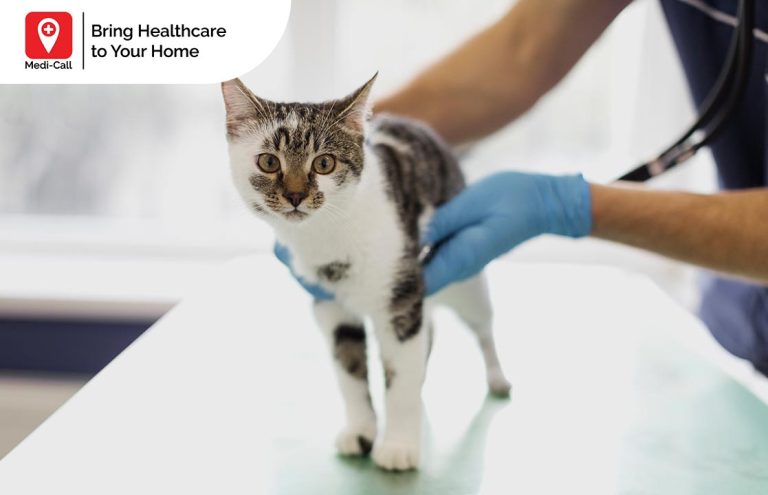 gejala rabies setelah dicakar kucing, gejala rabies, rabies pada kucing, Medicall, Medi-Call