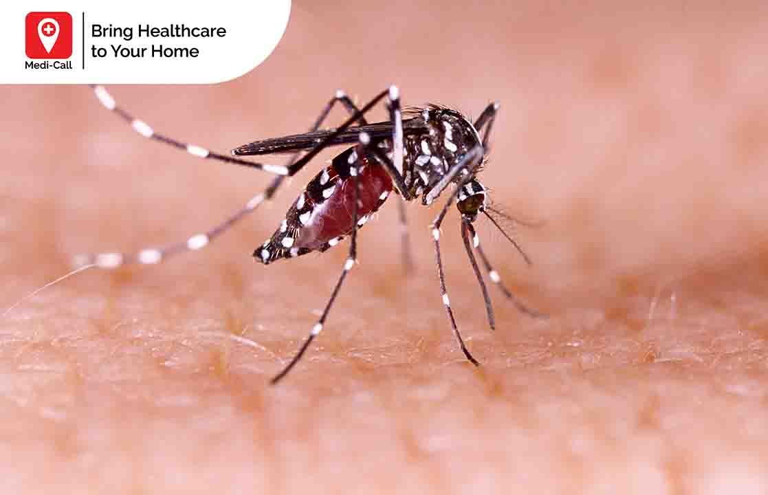 Jangan Digaruk, Bisa Infeksi! Cara Menghilangkan Bentol Nyamuk di Wajah yang Tepat